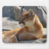 Cougar Mousepad Muismat (Voorkant)