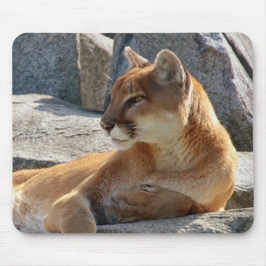 Cougar Mousepad Muismat (Voorkant)