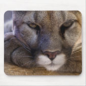 Cougar Muismat (Voorkant)