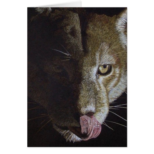 Cougar Night (Voorkant)