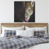 Cougar Night Canvas Afdruk (Insitu (Slaapkamer))