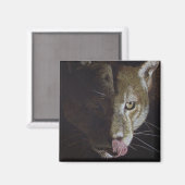 Cougar Night Magneet (Voorkant / Achterkant)