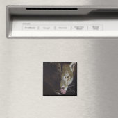 Cougar Night Magneet (Insitu (Vaatwasser))