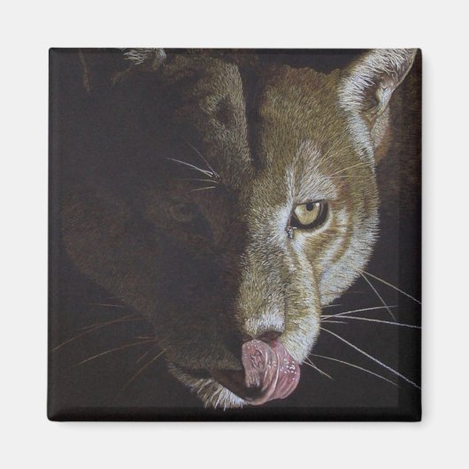 Cougar Night Magneet (Voorkant)