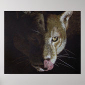 Cougar Night Poster (Voorkant)