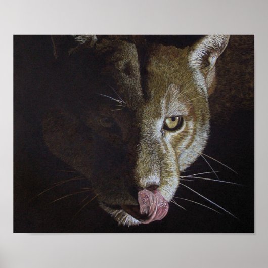 Cougar Night Poster (Voorkant)