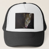 Cougar Night Trucker Pet (Voorkant)