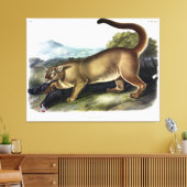 Cougar, of Puma, Panter, Bergleeuw, Catamount Canvas Afdruk (Insitu (Woonkamer))