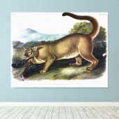 Cougar, of Puma, Panter, Bergleeuw, Catamount Canvas Afdruk (Insitu (Houten vloer))