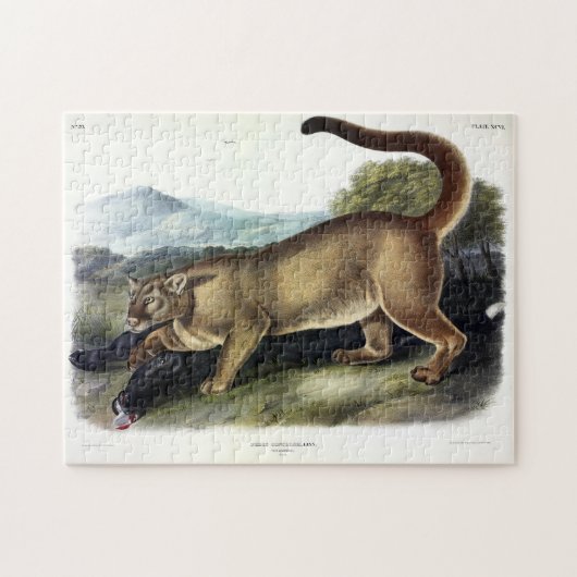 Cougar, of Puma, Panter, Bergleeuw, Catamount Legpuzzel (Horizontaal)