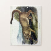 Cougar, of Puma, Panter, Bergleeuw, Catamount Legpuzzel (Verticaal)
