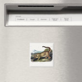 Cougar, of Puma, Panter, Bergleeuw, Catamount Magneet (Insitu (Vaatwasser))