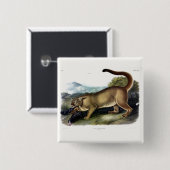 Cougar, of Puma, Panter, Bergleeuw, Catamount Vierkante Button 5,1 Cm (Voorkant /achterkant)