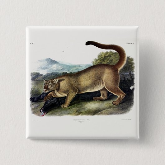 Cougar, of Puma, Panter, Bergleeuw, Catamount Vierkante Button 5,1 Cm (Voorkant)