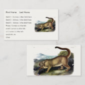 Cougar, of Puma, Panter, Bergleeuw, Catamount Visitekaartje (Voorkant / Achterkant)