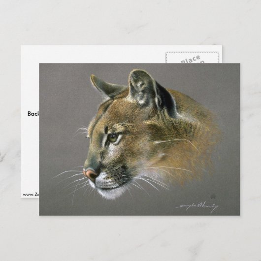 Cougar-onderzoek Briefkaart (Voorkant / Achterkant)