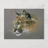 Cougar-onderzoek Briefkaart (Voorkant)