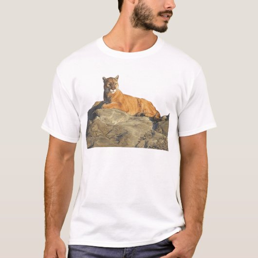 cougar op rock t-shirt (Voorkant)