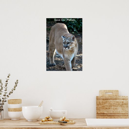 Cougar Photo Poster "Save Our Planet" (Keuken)