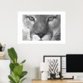 Cougar Poster (Thuiskantoor)