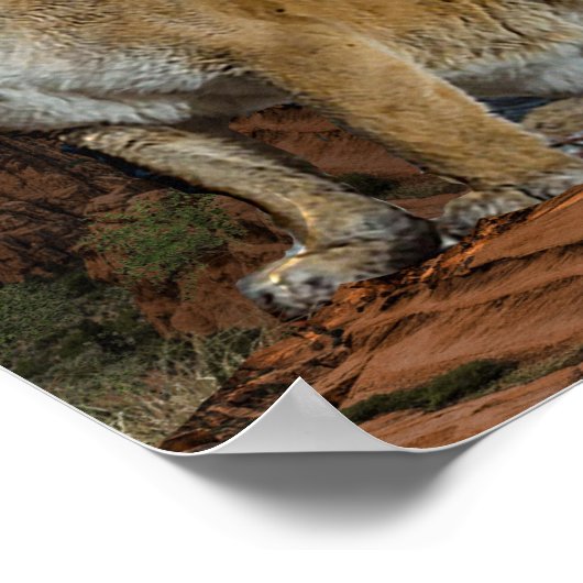 Cougar Poster (Hoek)