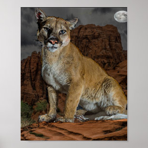 Cougar Poster