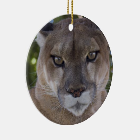 Cougar Pounce Ornament (Rechts)