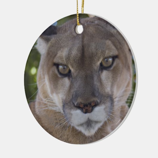 Cougar Pounce Ornament (Links)