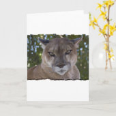 Cougar Pounce Wenskaart Kaart (Gele Bloem)