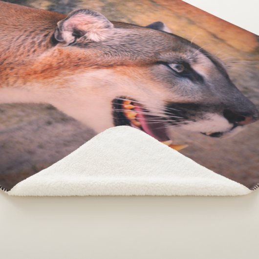 Cougar Profile  Sherpa Deken (3/4)