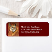 Cougar, Puma, Etiket van het Adres van de Bergleeu (Insitu)