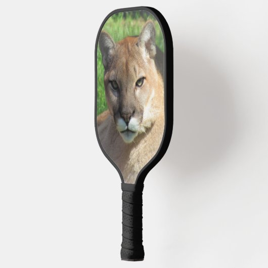 Cougar / Puma / Florida Panther Pickleball Paddle (Links)
