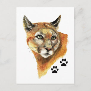 Cougar, Puma, Mountain Lion Animal Tracks Briefkaart