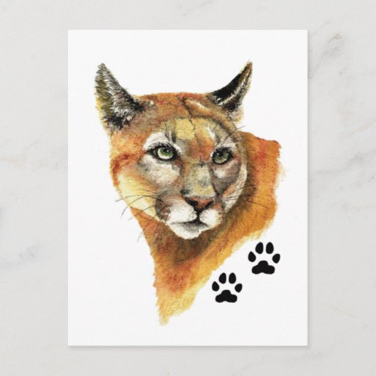 Cougar, Puma, Mountain Lion Animal Tracks Briefkaart (Voorkant)