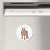 Cougar Puma Mountain Lion Thunder_Cove Magneet (Insitu (Vaatwasser))