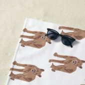 Cougar Puma Mountain Lion Thunder_Cove Strandlaken (In situ)