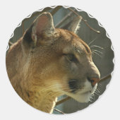 Cougar Puma Stickers (Voorkant)