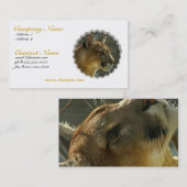 Cougar Puma Visitekaartje (Voorkant / Achterkant)