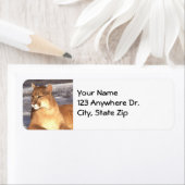 Cougar Rest Etiket (Insitu)