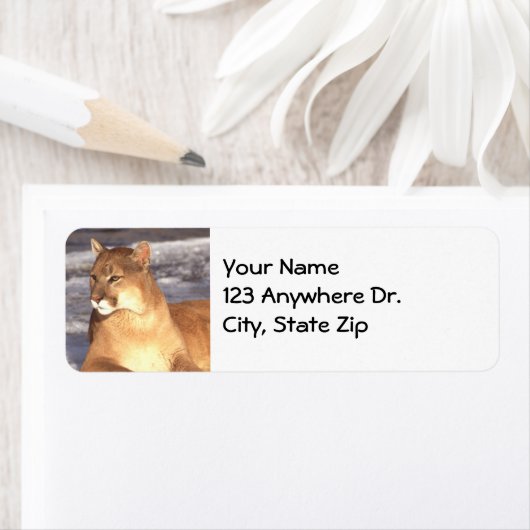 Cougar Rest Etiket (Insitu)