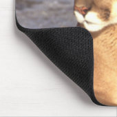 Cougar Rest Muismat (Hoek)