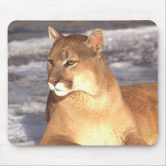 Cougar Rest Muismat