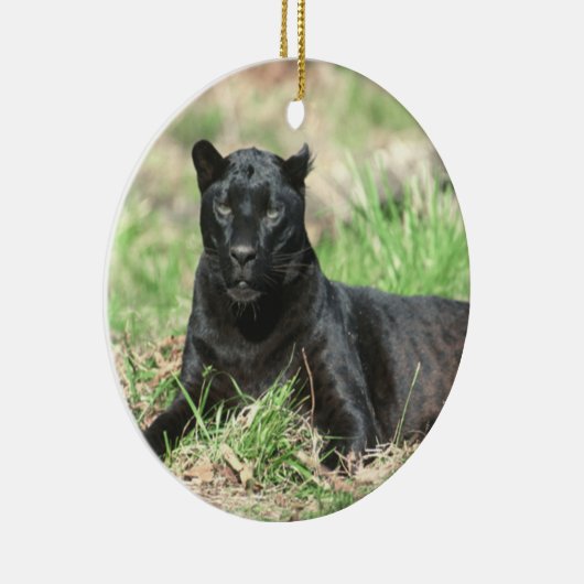 Cougar Rest Ornament (Rechts)