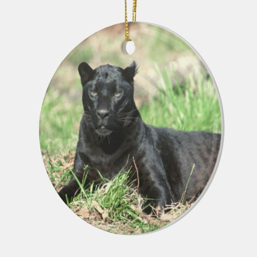 Cougar Rest Ornament (Links)