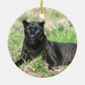 Cougar Rest Ornament (Achterkant)