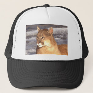 Cougar Rest Trucker Pet