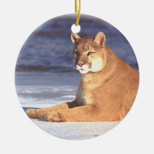 Cougar Resting Ornament (Voorkant)