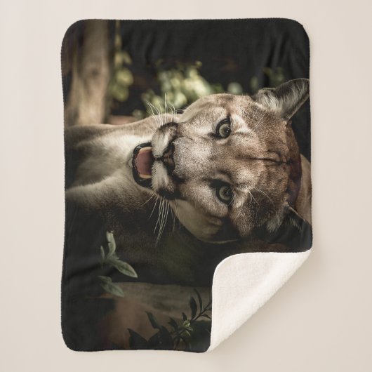 COUGAR SHERPA DEKEN (Voorkant)