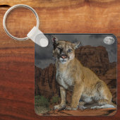 cougar sleutelhanger (Voorkant)