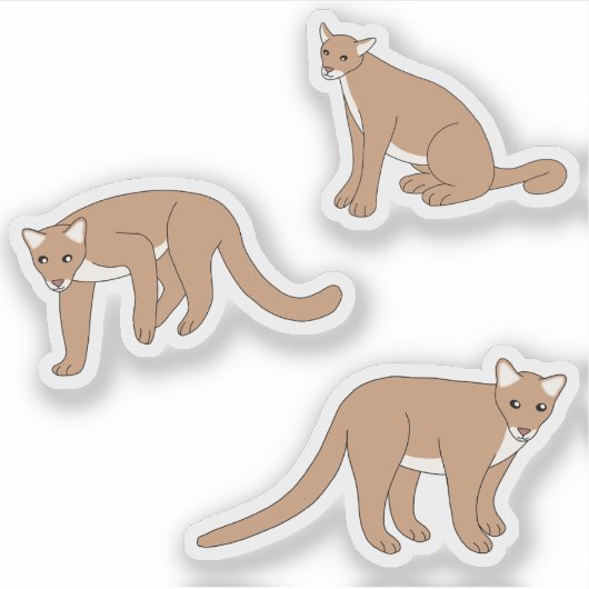 Cougar Sticker (Voorkant)